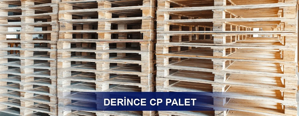 Derince Standart Tipler